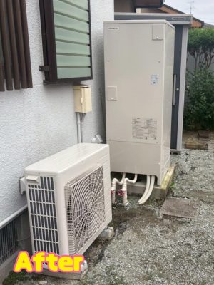 image6.jpeg