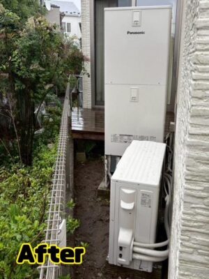 image1.jpeg